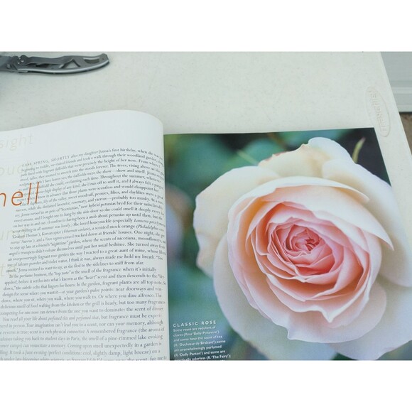 1ST EDIT The Garden Design Book HARDCOVER Cheryl Mercer etal VGC No Dust Jacket - Picture 14 of 16